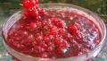 Red Currant Sauce created by Derf2440