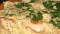 Creamy Chicken Tarragon With Egg Noodles created by PianoCook