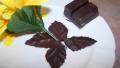 Decorative Chocolate Leaves created by wicked cook 46