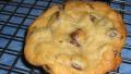 Slice & Bake Chocolate Chip Cookie Roll created by LilPinkieJ