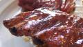 Alternate Honey Barbecue Sauce With Riblets (Applebee's Copycat) created by Nif_H