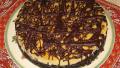 Chocolate Orange Cheesecake With Orange-Tangerine Glaze created by swissms