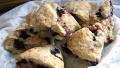 Blueberry Oat Scones created by Derf2440