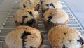 Vegan Whole-Grain Blueberry Muffins created by magpie diner