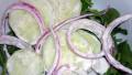 Cucumber and Red Onion Salad created by morgainegeiser