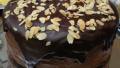 Decadent Chocolate Cake With Ganache created by NolansMom