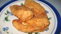 basic fried chicken dredge