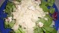 Tossed Salad With Apple Cider Dressing created by seesko
