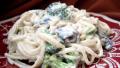 Cunetto's Spaghetti Con Broccoli (Actual Recipe) created by Annacia
