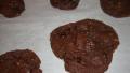 Chocolate Fudge Cookies With Toffee & Dried Cherries created by ChefLee