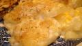 Crusted Scalloped Potatoes created by Vicki in CT