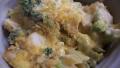 Fantastic Chicken Broccoli Casserole created by Nif_H