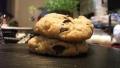 The Best Soft Chocolate Chip Cookies created by Nika The Mad Baker