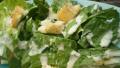 Caesar Salad Dressing created by breezermom