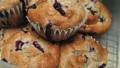 Blueberry and Banana Muffins (Light) created by Caroline Cooks