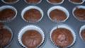 Sour Cream Fudge Cupcakes (Made With Quinoa Flour) created by NELady
