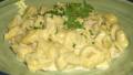 Spinach and Ricotta Tortellini With Ricotta and Herb Sauce created by Karen Elizabeth