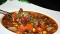 Winter Hamburger Soup created by Tinkerbell