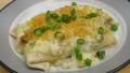Chicken Enchiladas created by lazyme