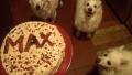 Kona K's Doggie Birthday Cake created by ChelleV2