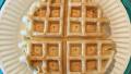Applesauce Waffles created by Anonymous