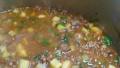 Hearty Lamb and Lentil Stew created by Tonya D.