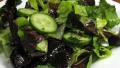 Romaine and Radicchio Salad With Cucumber created by dianegrapegrower