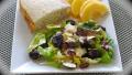 Tossed Green Salad With Grapefruit-Pomegranate Dressing created by FrenchBunny