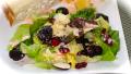 Tossed Green Salad With Grapefruit-Pomegranate Dressing created by FrenchBunny