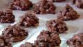 Chocolate Covered Cranberry and Almond Bunches created by mills.an