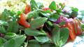 Wild Purslane Salad With Olive Oil and Lemon Dressing created by French Tart