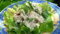 Chicken Salad in a Creamy Chive and Lovage Dressing created by French Tart