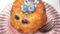 Best Easy Blueberry Crumb Muffins created by Cabin Cat