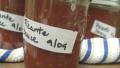 Jana's Home Canned Picante Sauce created by Caroline Cooks
