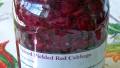 Spiced Pickled Red Cabbage created by Rita1652