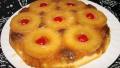 Eight Animals Bake a Cake - Pineapple Upside Down Cake created by Boomette