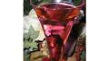 Lebanese Rose Drink (Sharab Ward) created by Julie Bs Hive
