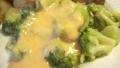 Aunt Michel's Cheese Sauce created by Chef shapeweaver 