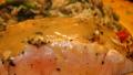 Grilled Dijon-Maple Salmon created by Vicki in CT