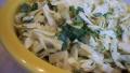 Simple Cabbage Coleslaw created by Parsley