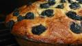 Healthy Blueberry and Banana Cake created by Baby Kato