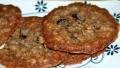 Cranberry and Oatmeal Spice Cookies created by appleydapply