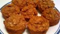 Low-Fat Oatmeal Pumpkin Muffins created by EZBeingGreen
