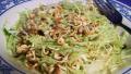 Trudi's Oriental Crunchy Salad created by Sharon123