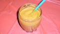 Fall Harvest Smoothie created by Lizzymommy
