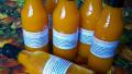 Habanero Mango Hot Sauce created by Rita1652