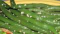 Ginger-Garlic Green Beans created by teresas