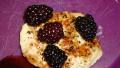 Blackberry Pork Chops for Grill or Whatever created by Zaney1