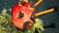 Ladybug Apples created by Jubes