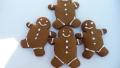 Special Gingerbread Cookies created by Tea Jenny